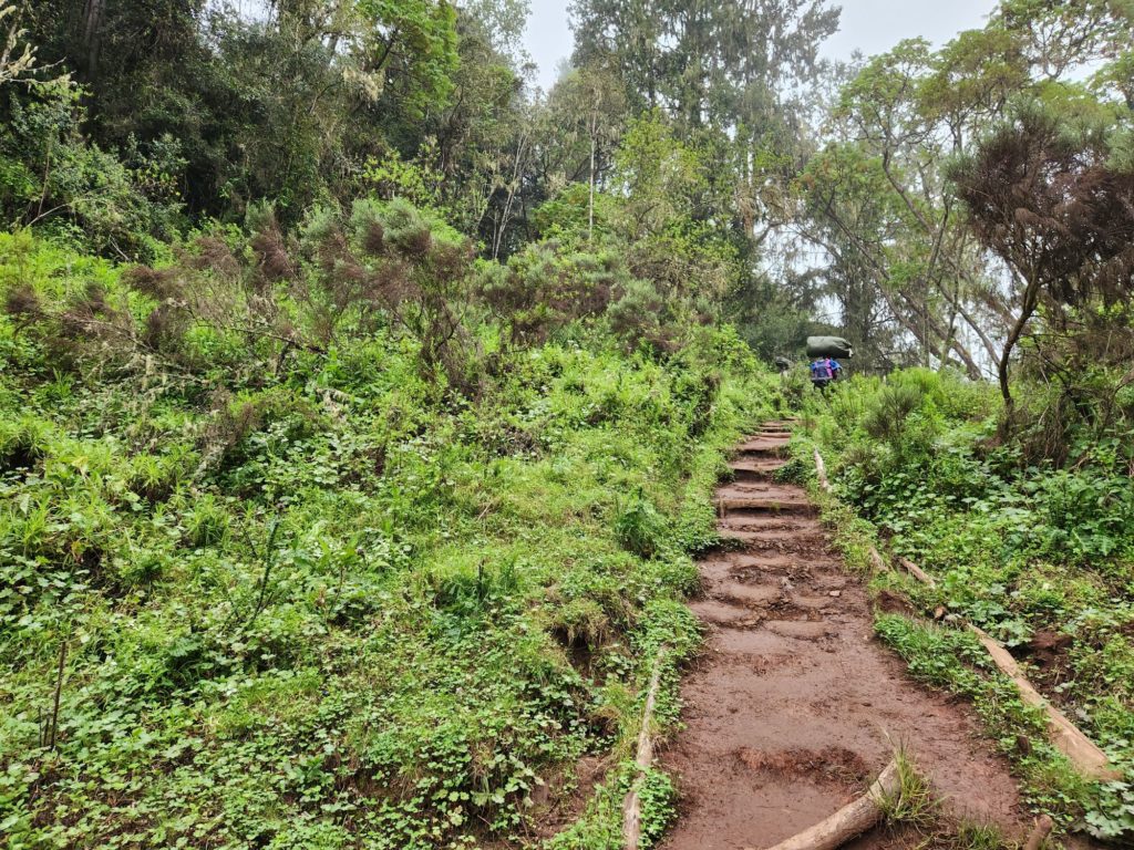 Kilimanjaro experience day 2