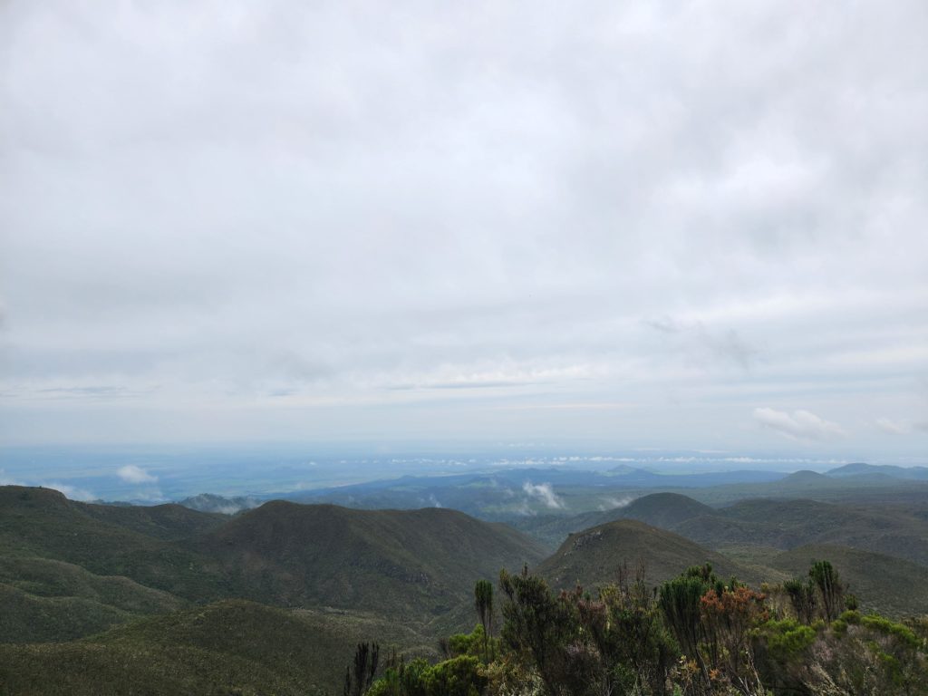 Kilimanjaro views