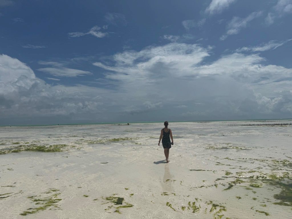 Sun on Zanzibar Island