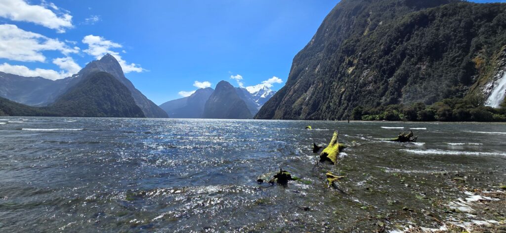 Best time of day for visiting Milford Sound
