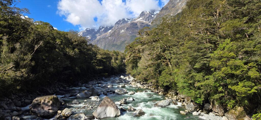 Benefits of self-driving when visiting Milford Sound