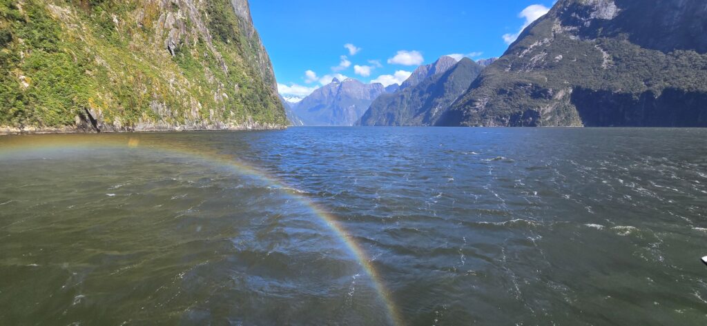 Visiting Milford Sound via nature cruise