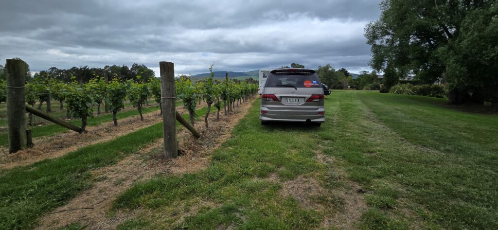 New Zealand wine region - Waipara