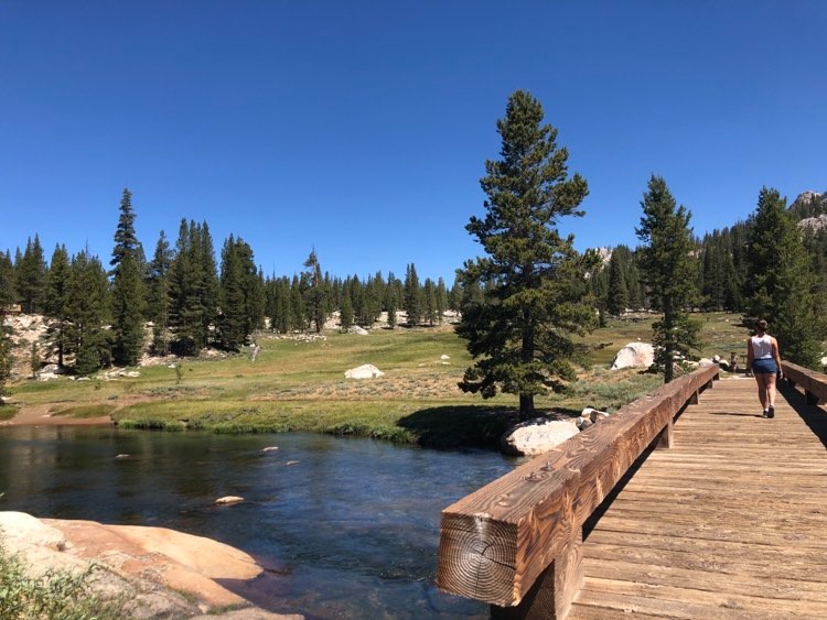 Tuolumne Meadows