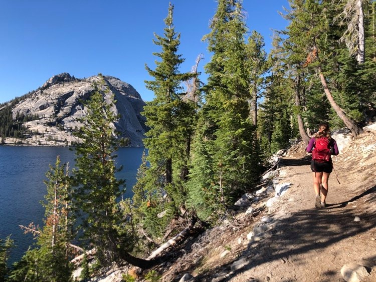 Yosemite hiking trail
