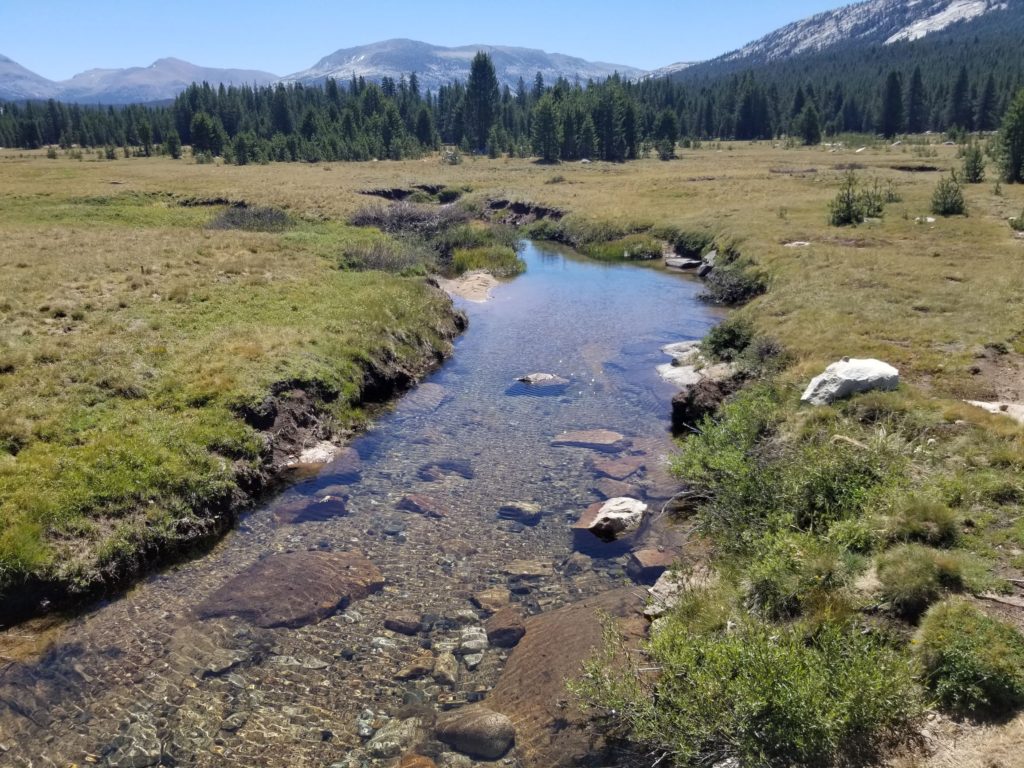 Tuolumne Meadows
