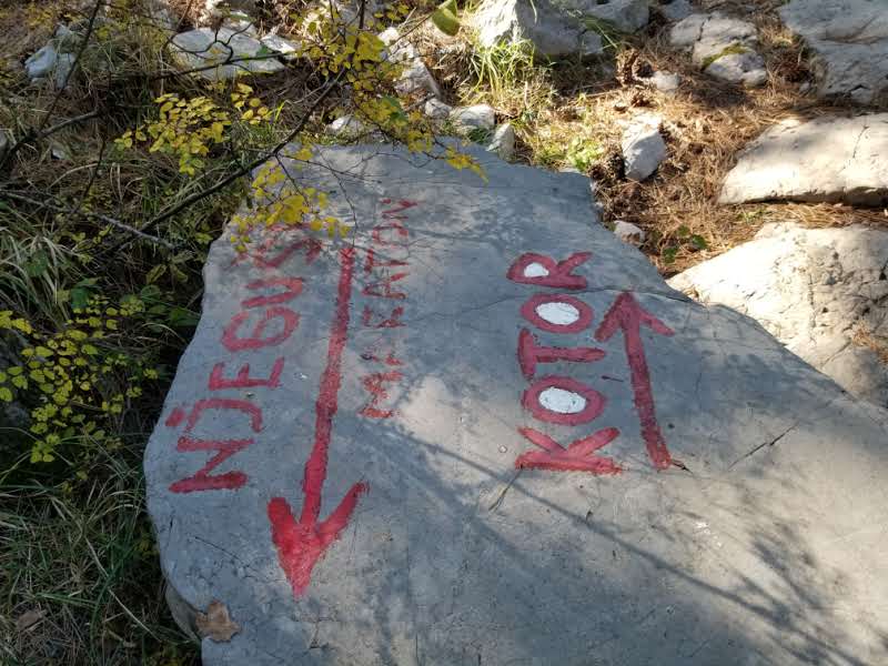 Hiking directions in the middle of the forest