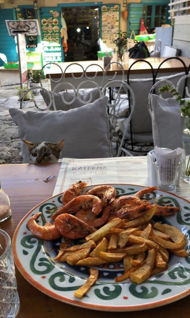 Cats begging for prawns at Kaldrma restaurant in Stari Bar