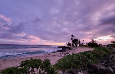 Must-Eat Foods in Kauai and Where to Find Them