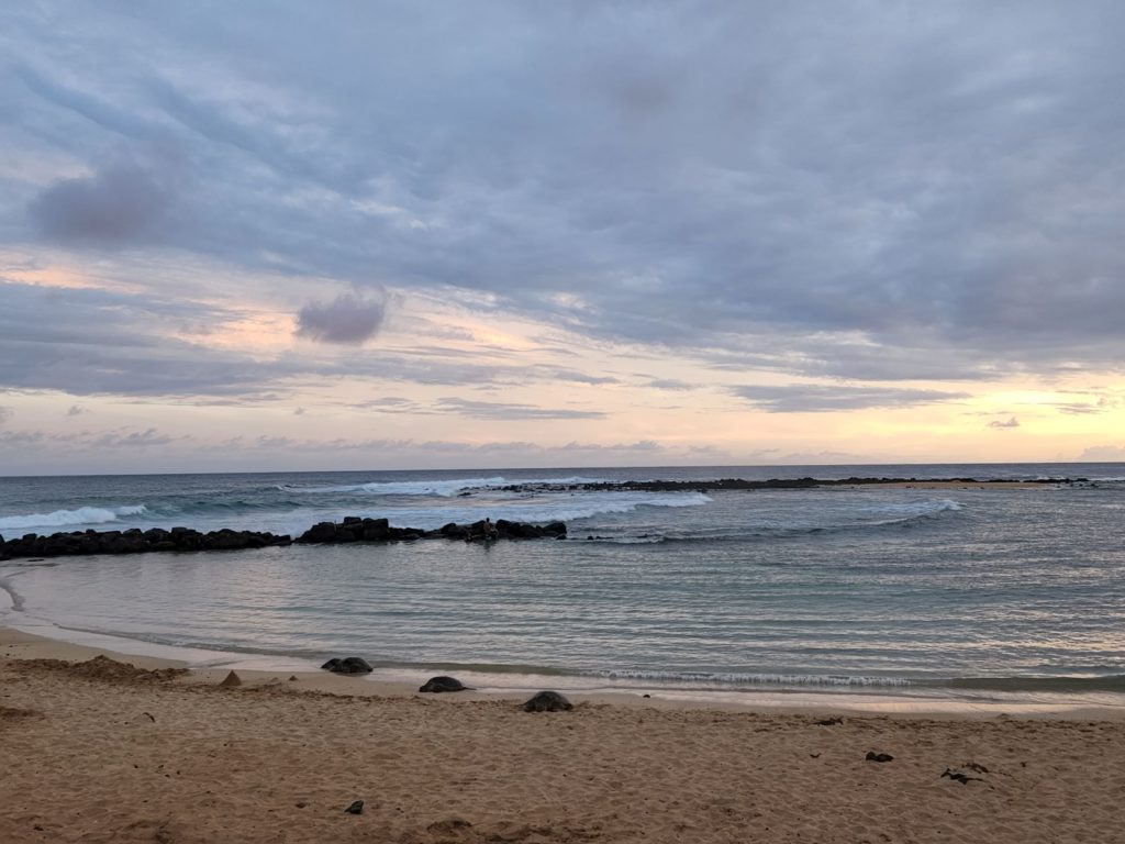 Sea turtles resting on the beach outside Brennecke's Beach Broiler