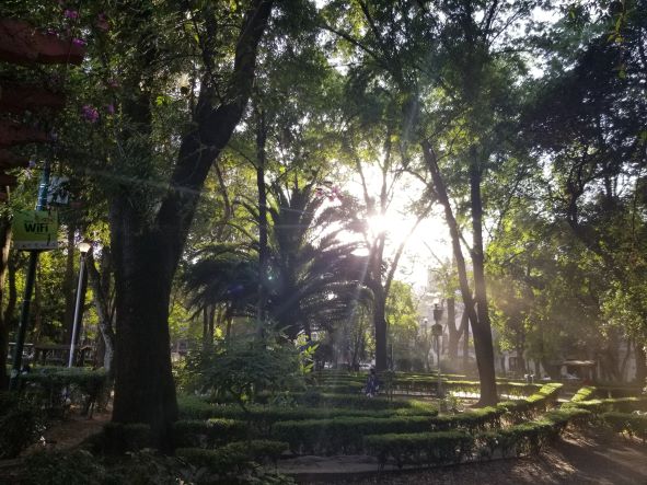 Mexico City Park