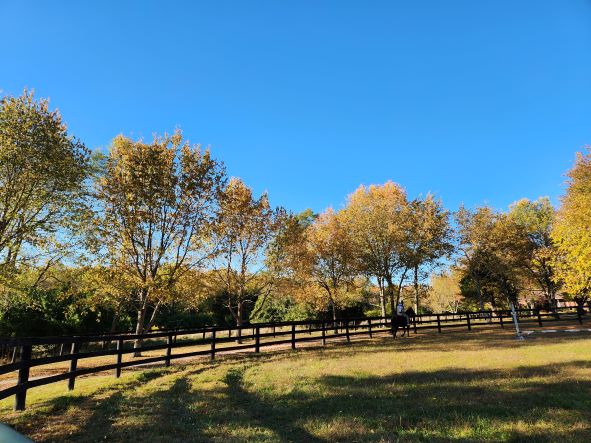 Horseback riding in Kentucky