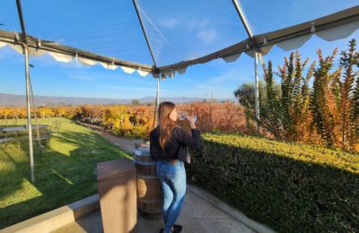 Napa: Great Tips for Visiting Wine Country on a Budget (ish)