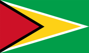 Flag of Guyana