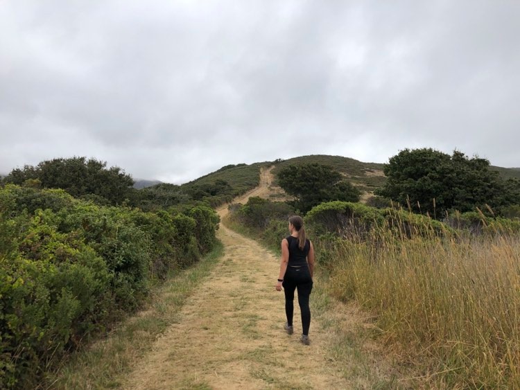 Beginning of Big Sur hike