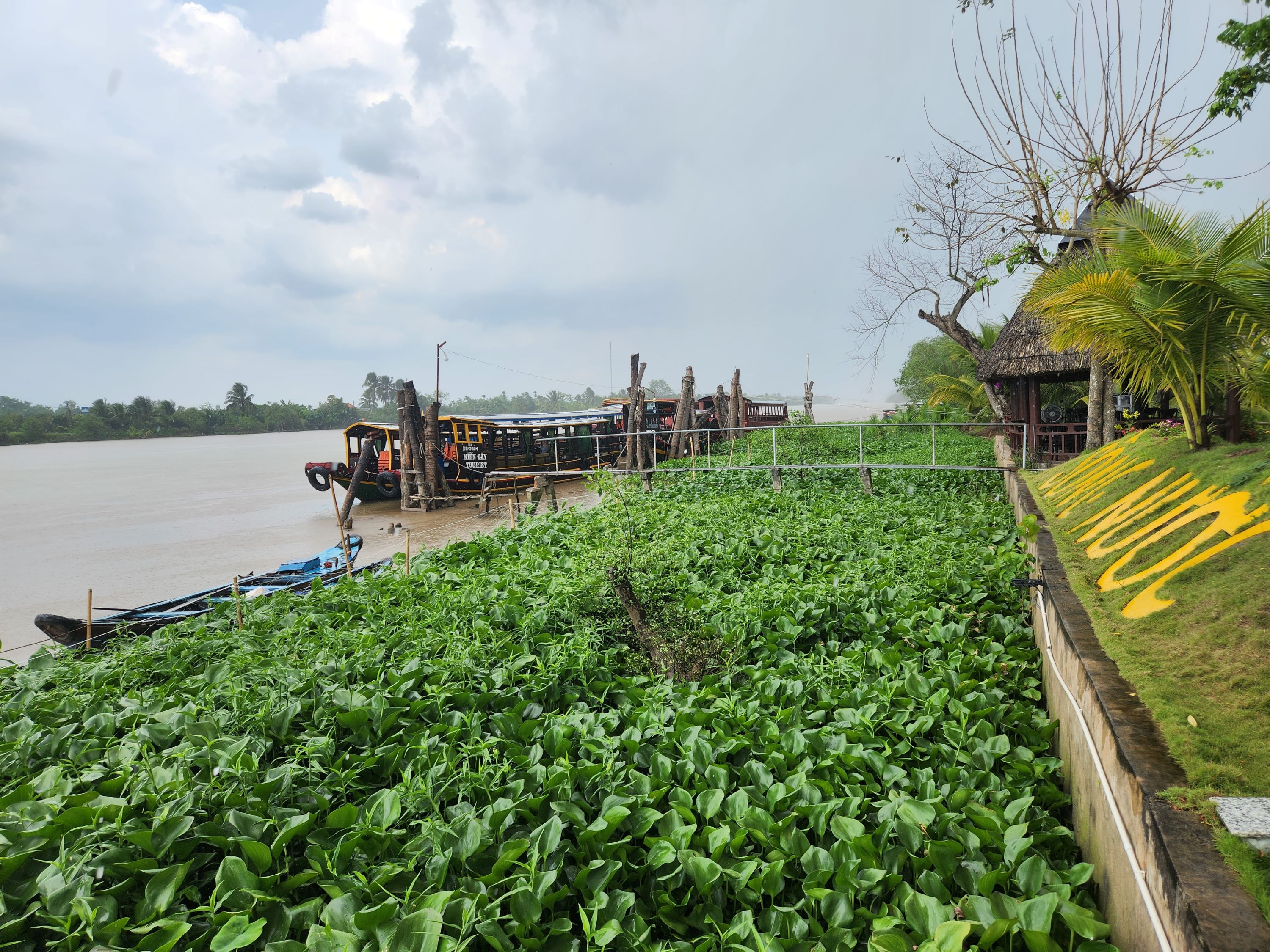 Mekong Delta