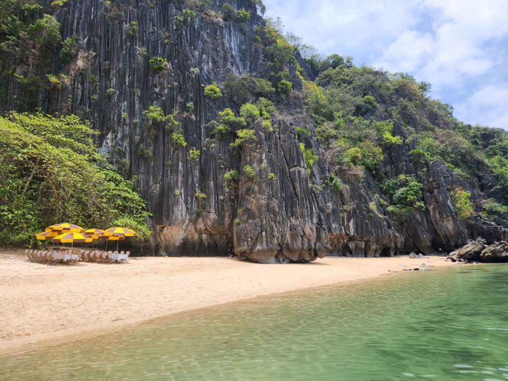 Private Beach BBQ