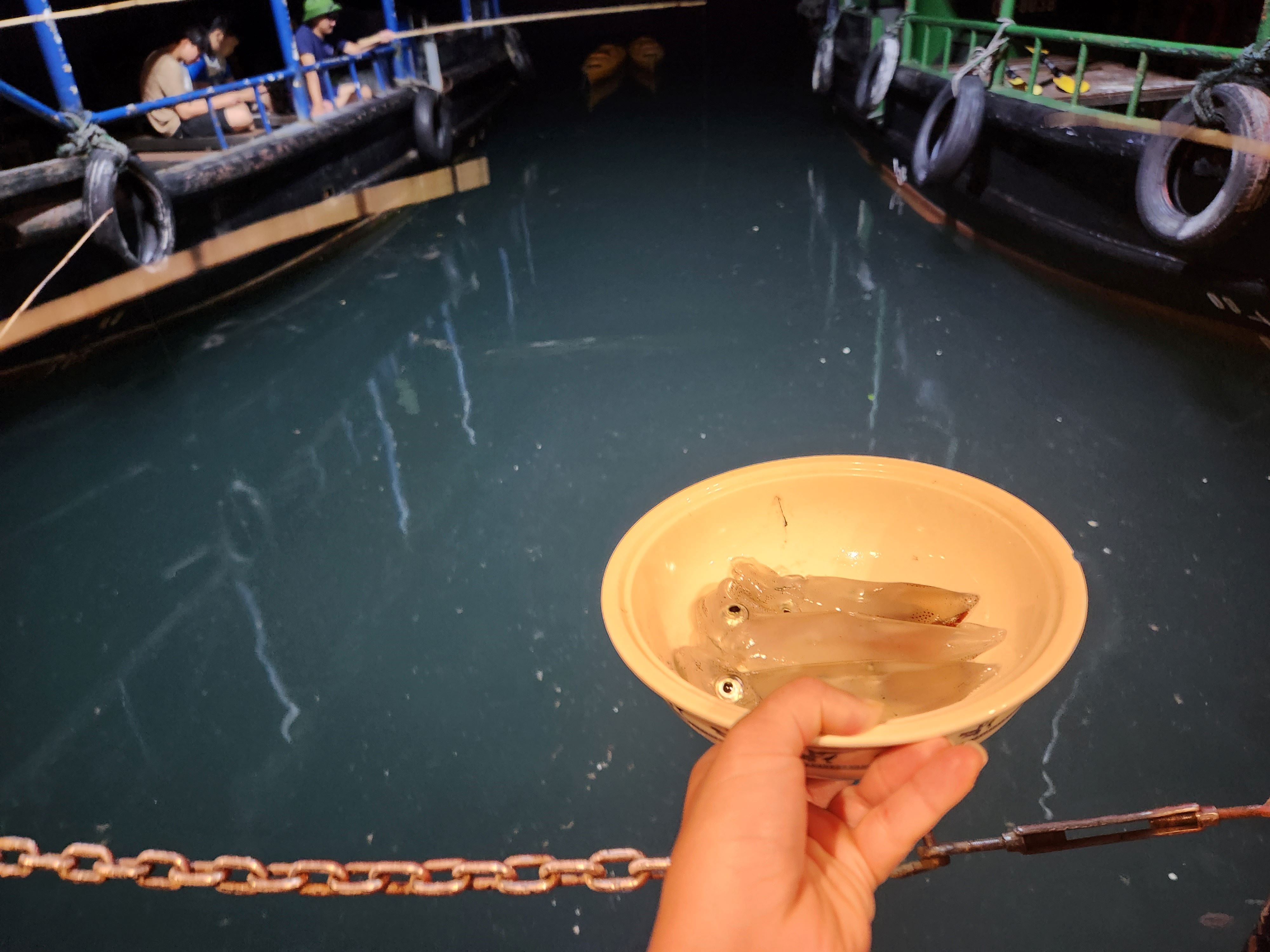 Squid fishing Ha Long Bay