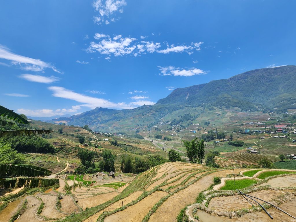 More rice terrace views