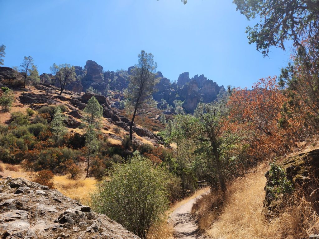 Pinnacles National Park