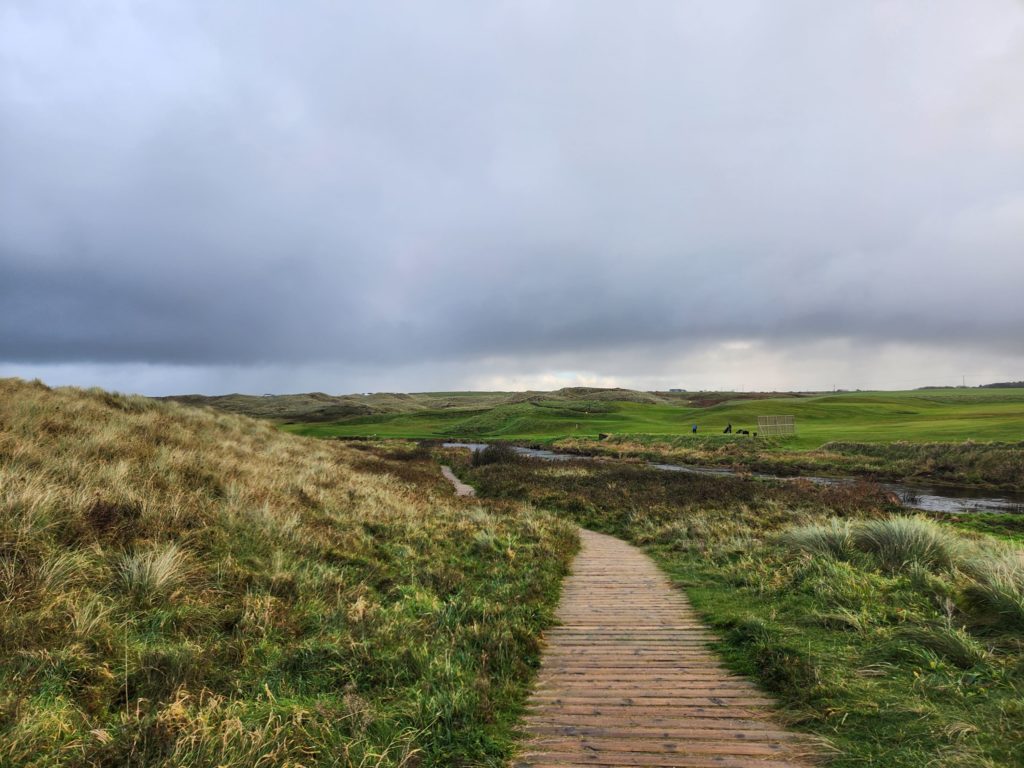 Giant's causeway trail