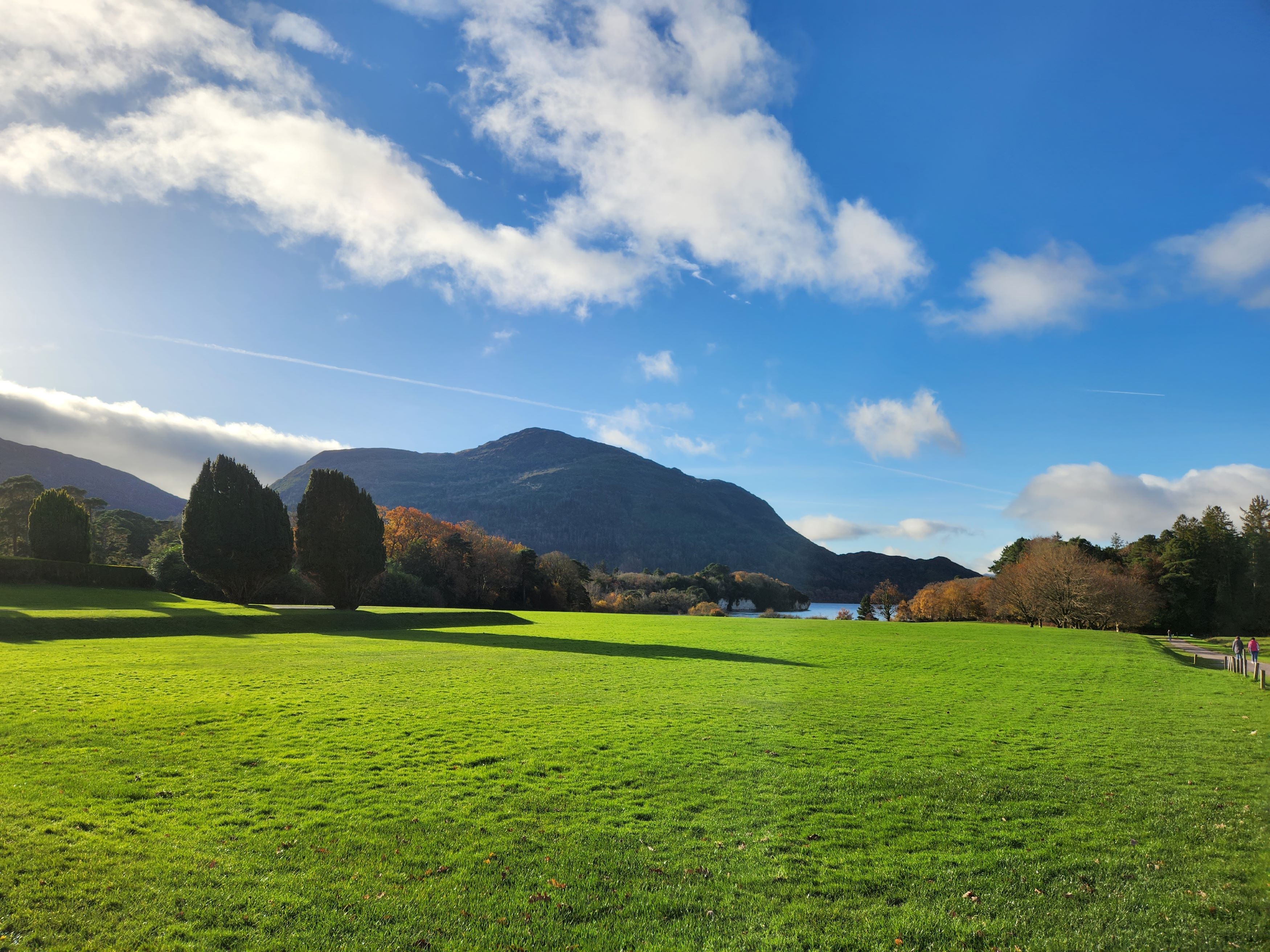 Driving the Ring of Kerry - Killarney National Park