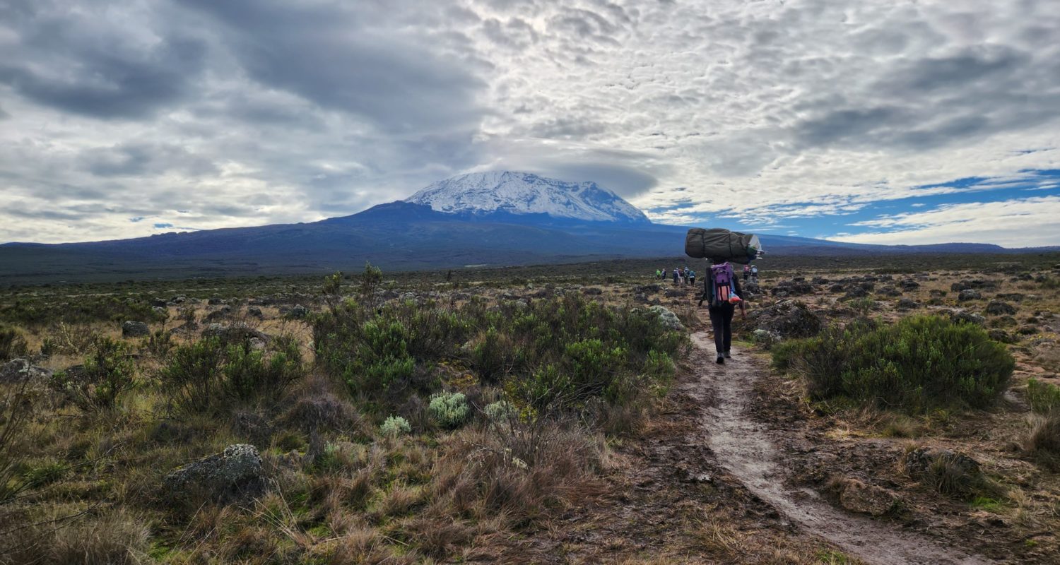 Kilimanjaro Experience