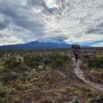 Kilimanjaro Experience
