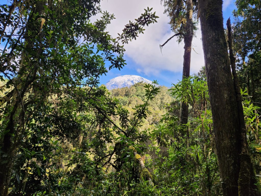 Final glimpse of Kili