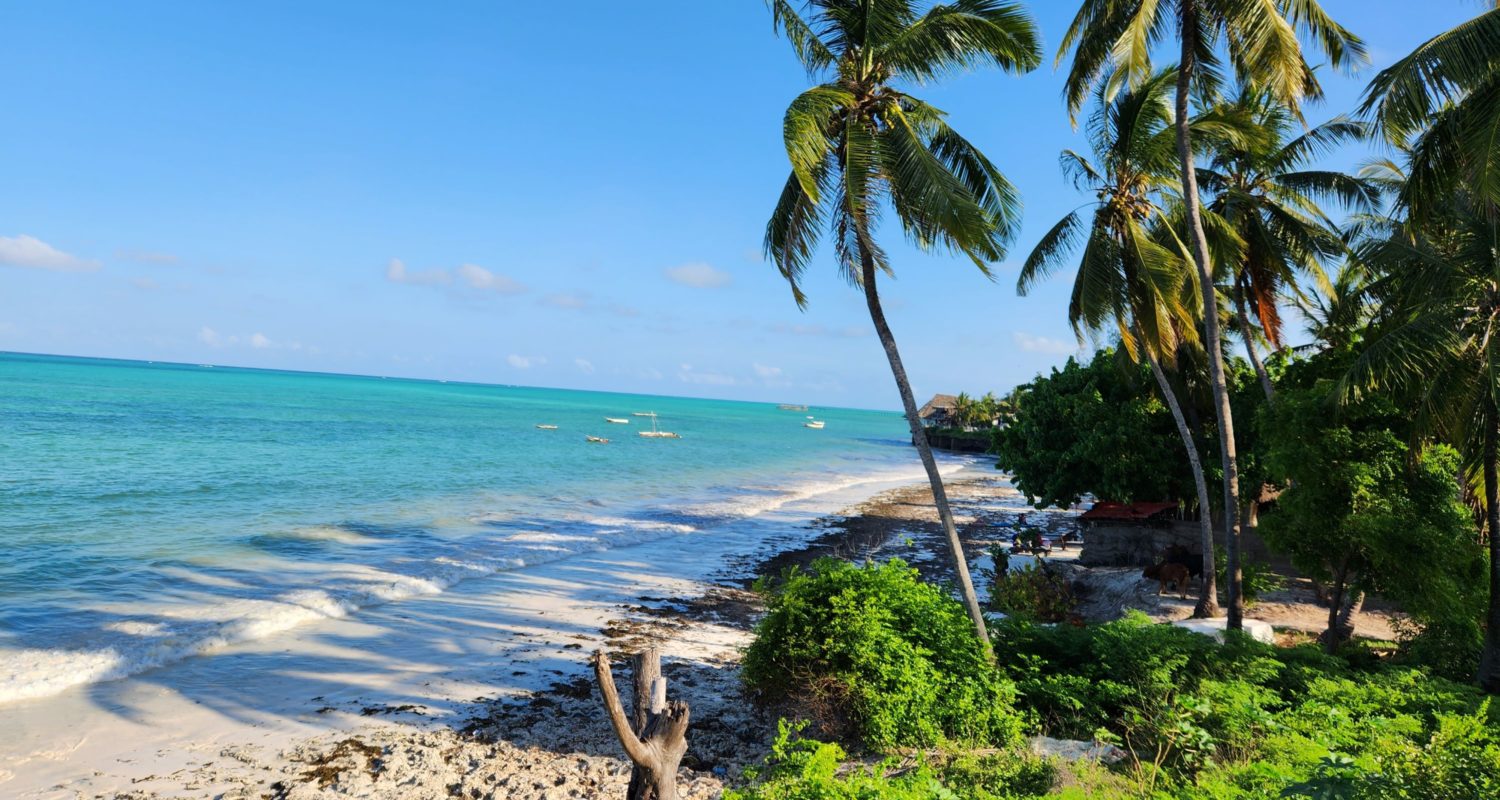 Zanzibar Island