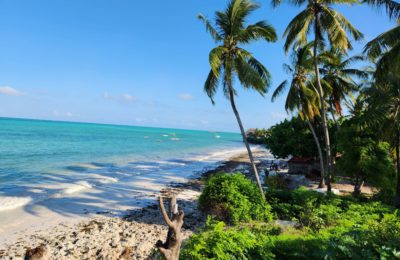 8 Things to Know before Visiting Beautiful Zanzibar Island