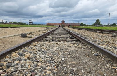 Auschwitz Day Trip from Krakow: What to Know Before Visiting