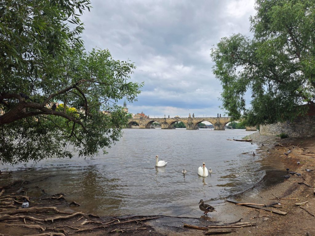 Charles Bridge