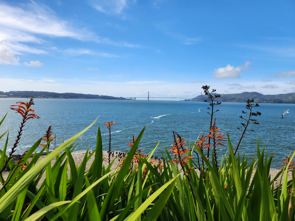 We lived in California before our Around the World Trip